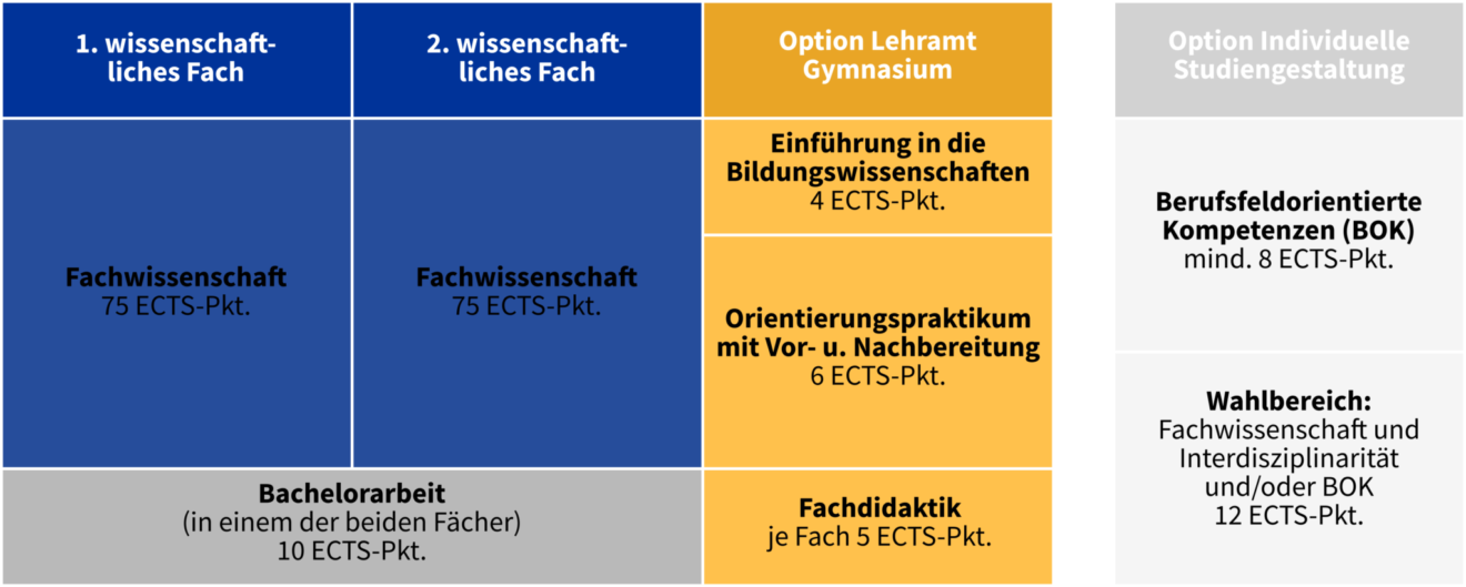 Polyvalenter Zwei-Hauptfächer-Bachelor Mit Lehramtsoption Gymnasium ...